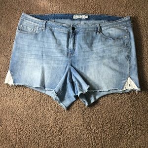 Torrid Shorts